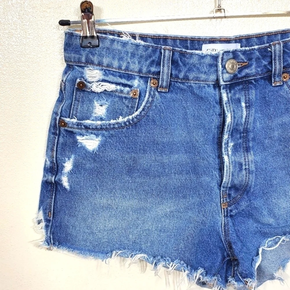 Zara Button Fly Shorts Distressed High Rise Short Shorts Size 6